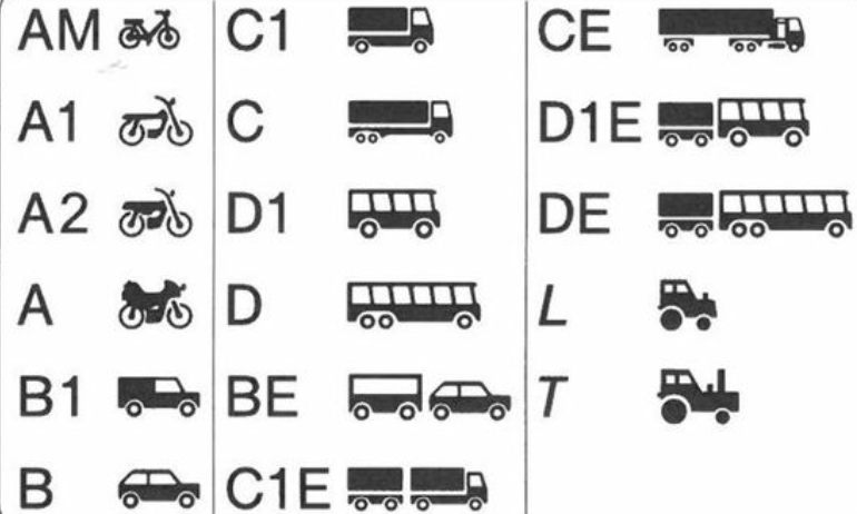 Driving Licence Category Https Gov Uk View Driving Licence Buy