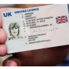 UK driving licence exchange